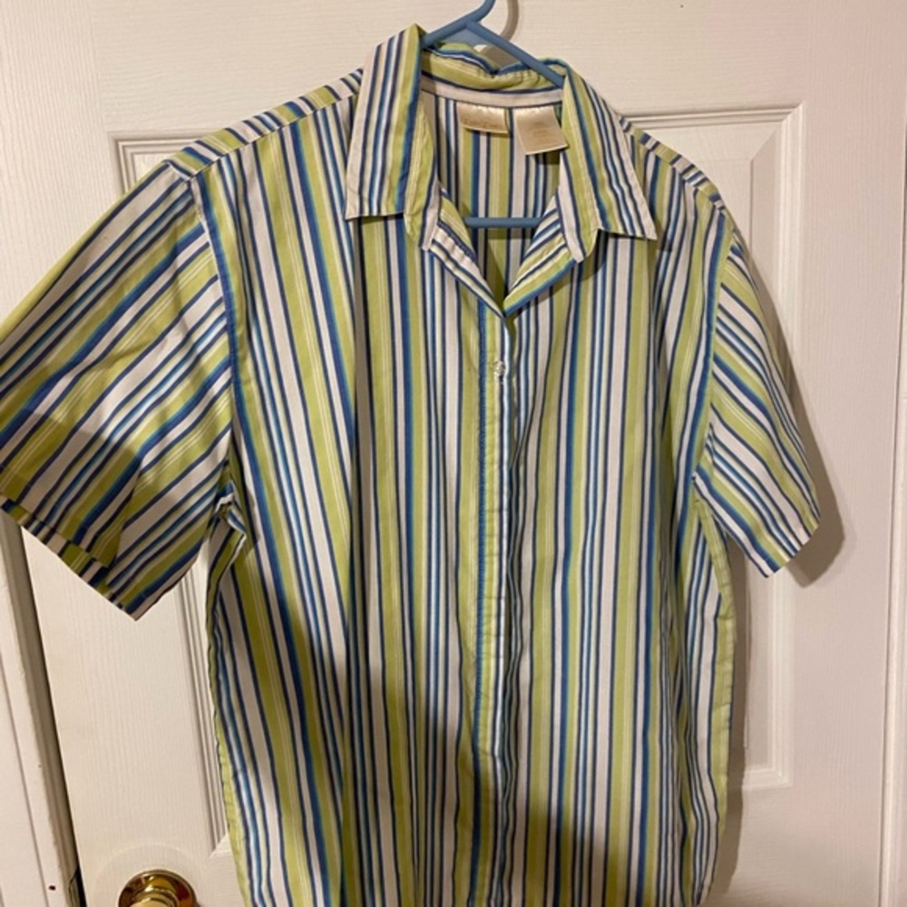Bobbie Brooks Blue and Green Striped Men's Shirt